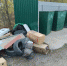 «Перенесите мусорную площадку!» - Зори